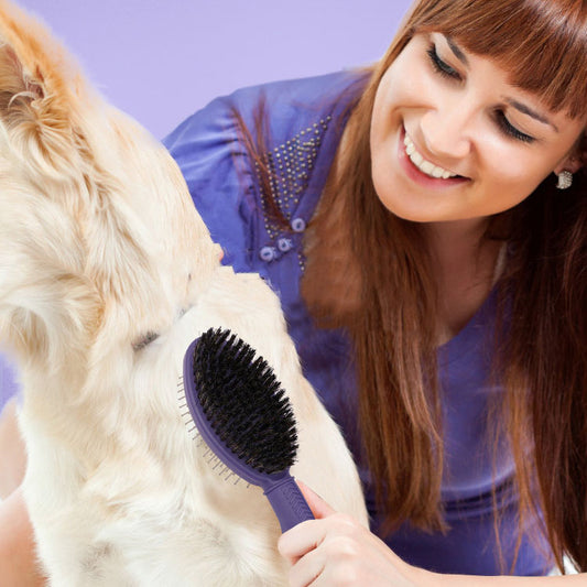 Double-Sided Pet Grooming Comb for Dogs and Cats Pet Hair Remover